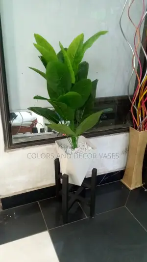 Banana Plant With Vase and Pebble Stones on Stand