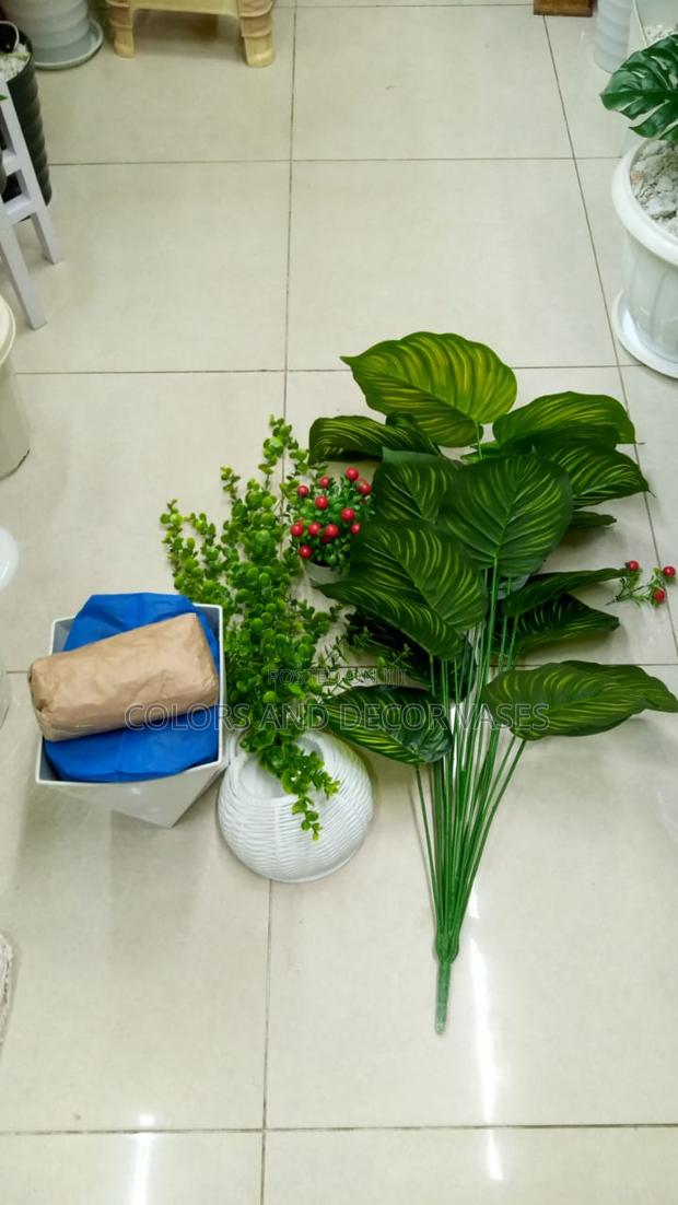 Vase and Plant Long With Pebble Stones