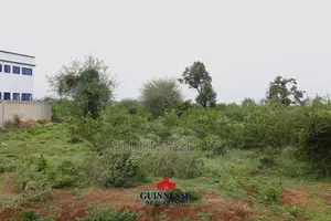 Mavueni Kilifi Next To New Life City