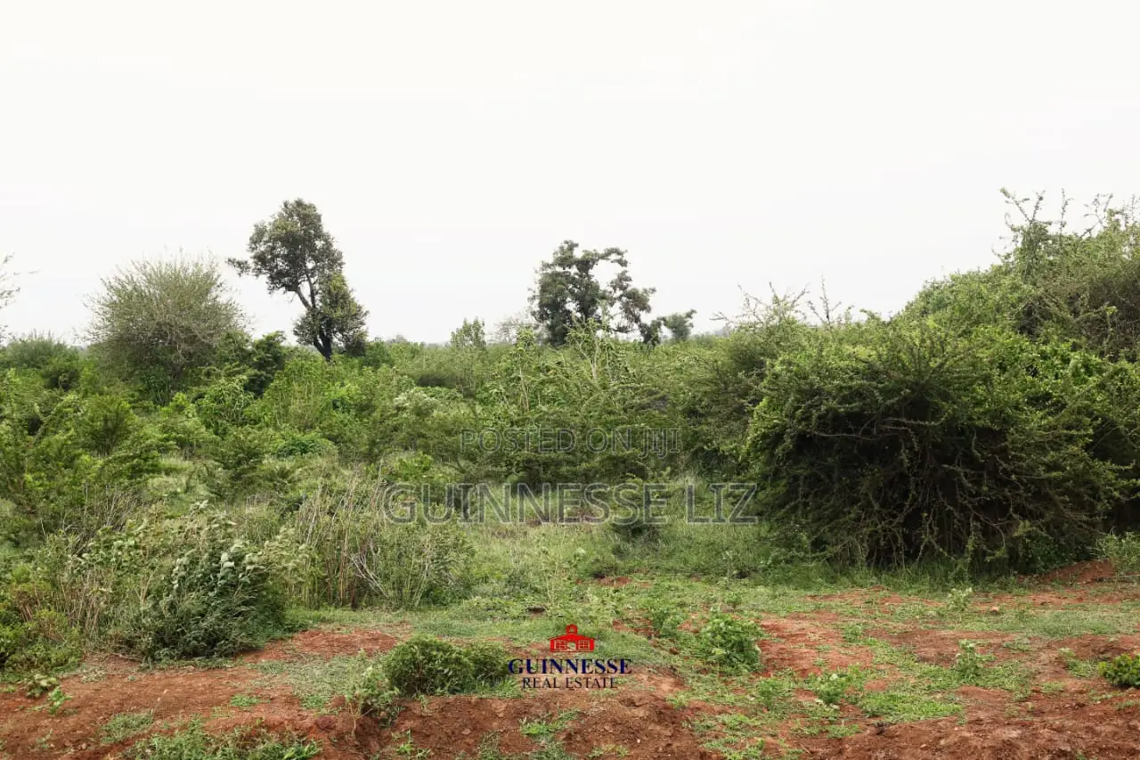 Mavueni Kilifi Next To New Life City