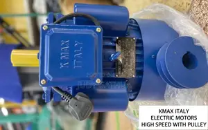 Electric Motor With Pulley 3hp