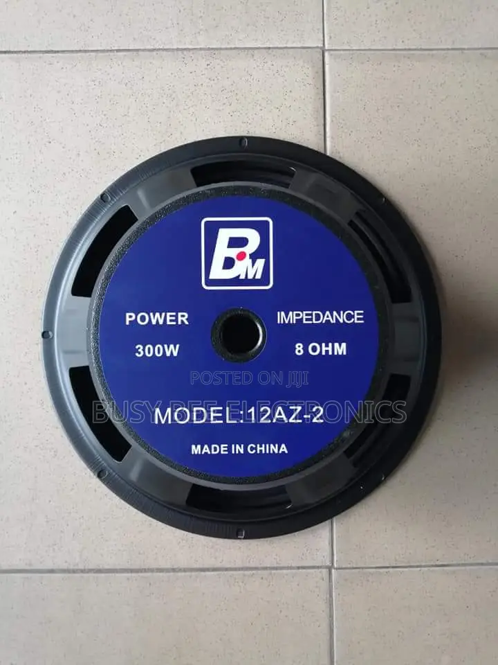 12-Az _2midrange Speaker