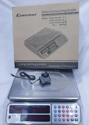 Constant Weighing Scale/ Balance Weighing Scale
