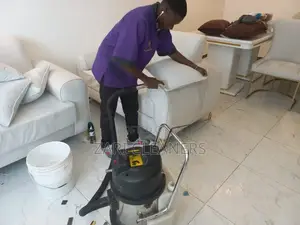 Professional Couch and Upholstery Cleaning Services