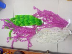 Aquarium Plants - thumbnail 2