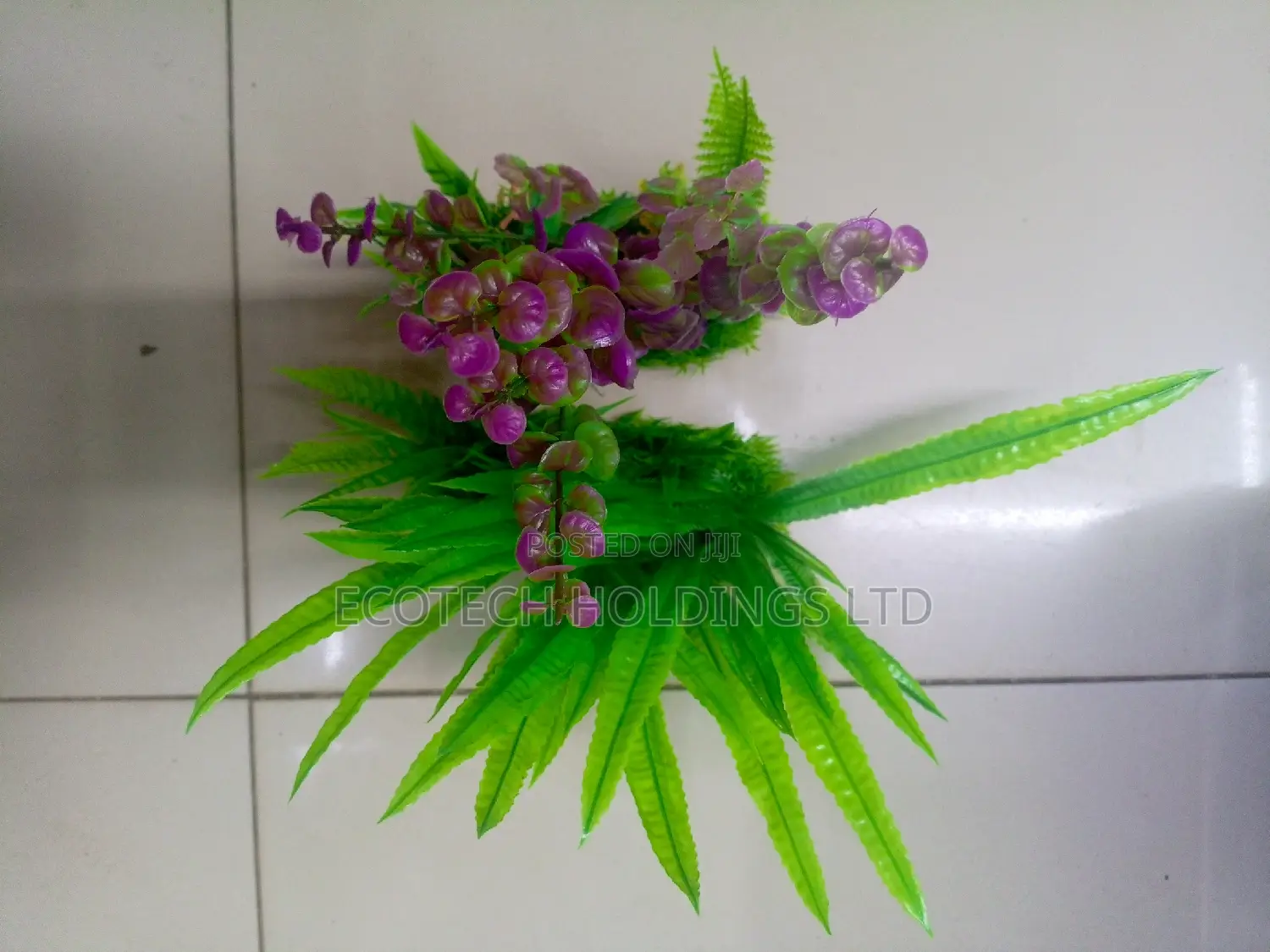 Bushy Plants