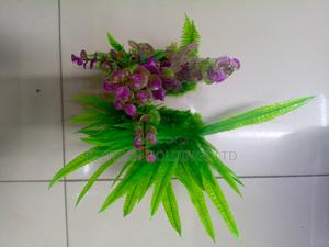 Bushy Plants - thumbnail 2