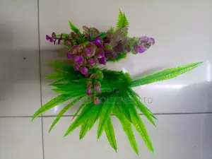 Bushy Plants