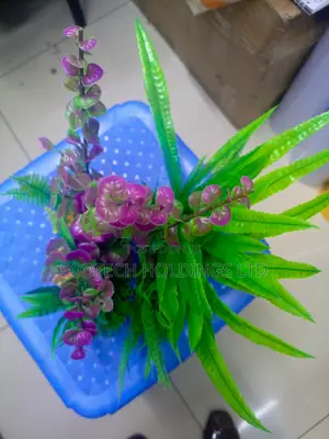 Bushy Plants