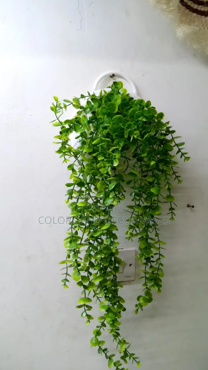 Vines Artificial and Vase Plastic 2000 KSH