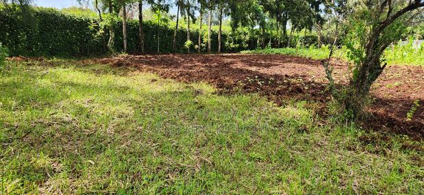 1acre Kamandura Limuru. Junction to Mai Mahiu - Nbo/Nku Hwy - main view