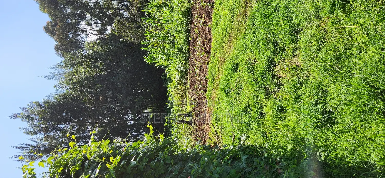 1acre Kamandura Limuru. Junction to Mai Mahiu - Nbo/Nku Hwy