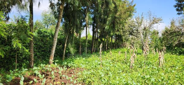 1acre Kamandura Limuru. Junction to Mai Mahiu - Nbo/Nku Hwy - thumbnail 4