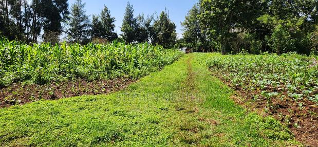 1acre Kamandura Limuru. Junction to Mai Mahiu - Nbo/Nku Hwy - thumbnail 10