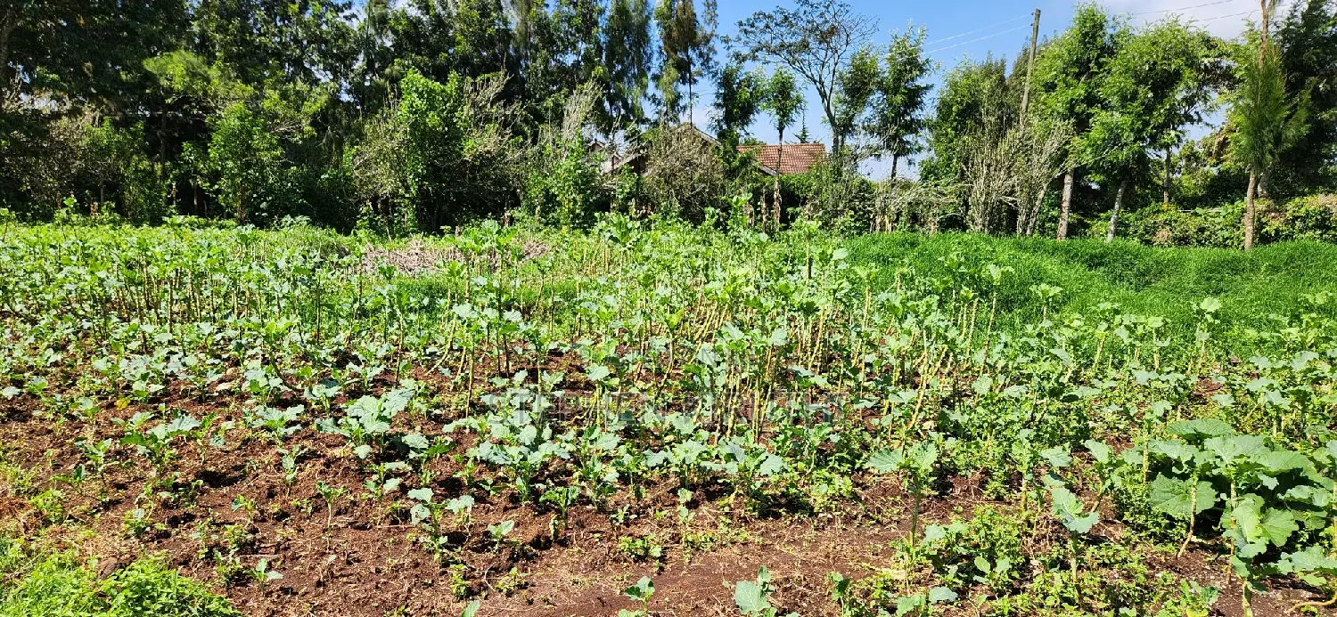 1acre Kamandura Limuru. Junction to Mai Mahiu - Nbo/Nku Hwy