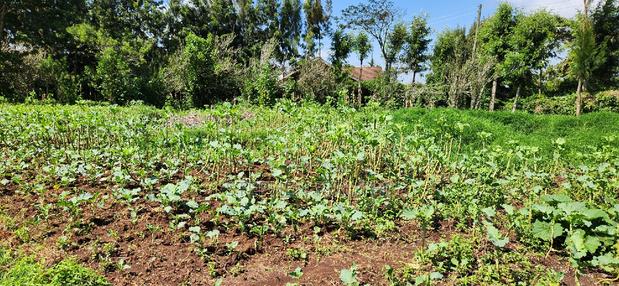 1acre Kamandura Limuru. Junction to Mai Mahiu - Nbo/Nku Hwy - thumbnail 11