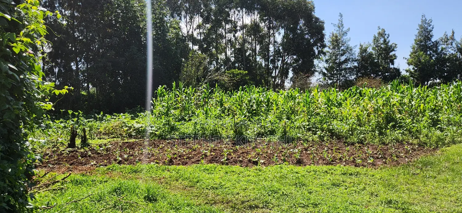 1acre Kamandura Limuru. Junction to Mai Mahiu - Nbo/Nku Hwy