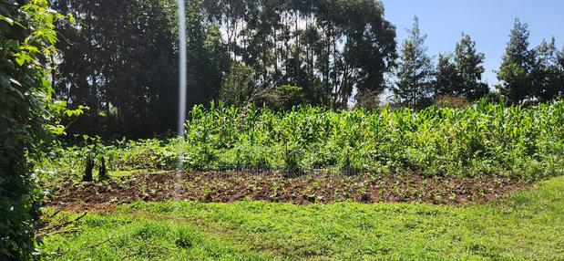 1acre Kamandura Limuru. Junction to Mai Mahiu - Nbo/Nku Hwy - thumbnail 12