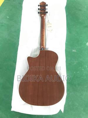 Acoustic Guitar - main view