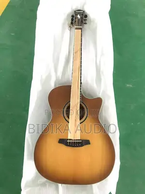 Acoustic Guitar