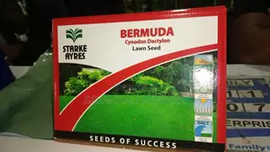 Bermuda Grass Seeds -500 Grams