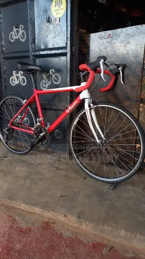 EX UK Roadboke Btwin