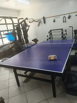 25MM Heavy Duty Commercial Table Tennis