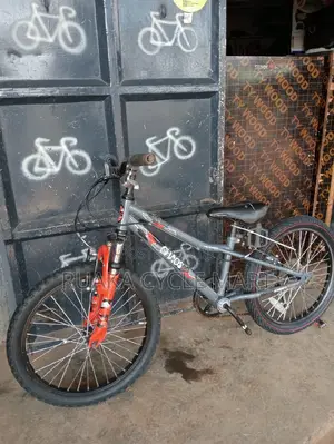 EX UK Mountain Bike Size 20