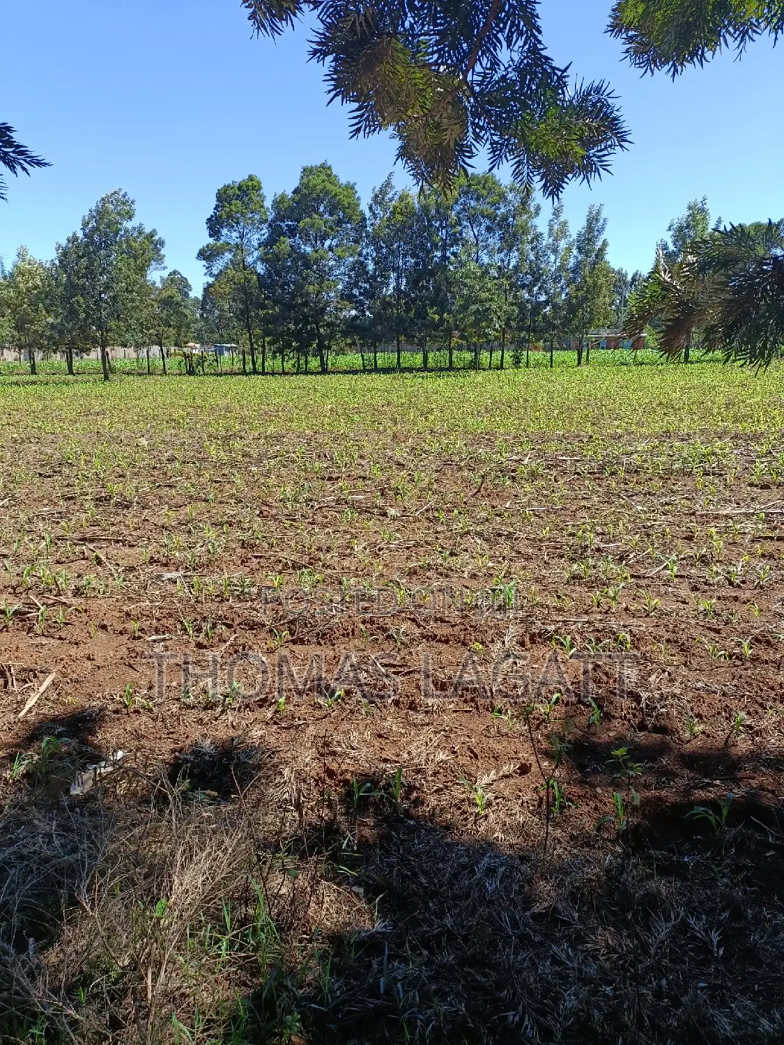 Prime 1⁄4 Acre Plots for Sale in Eldoret