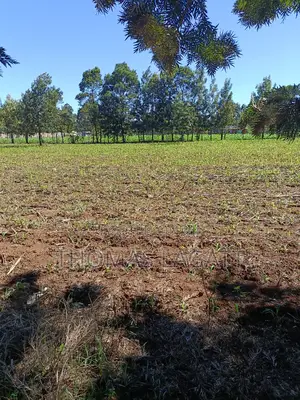 Prime 1⁄4 Acre Plots for Sale in Eldoret