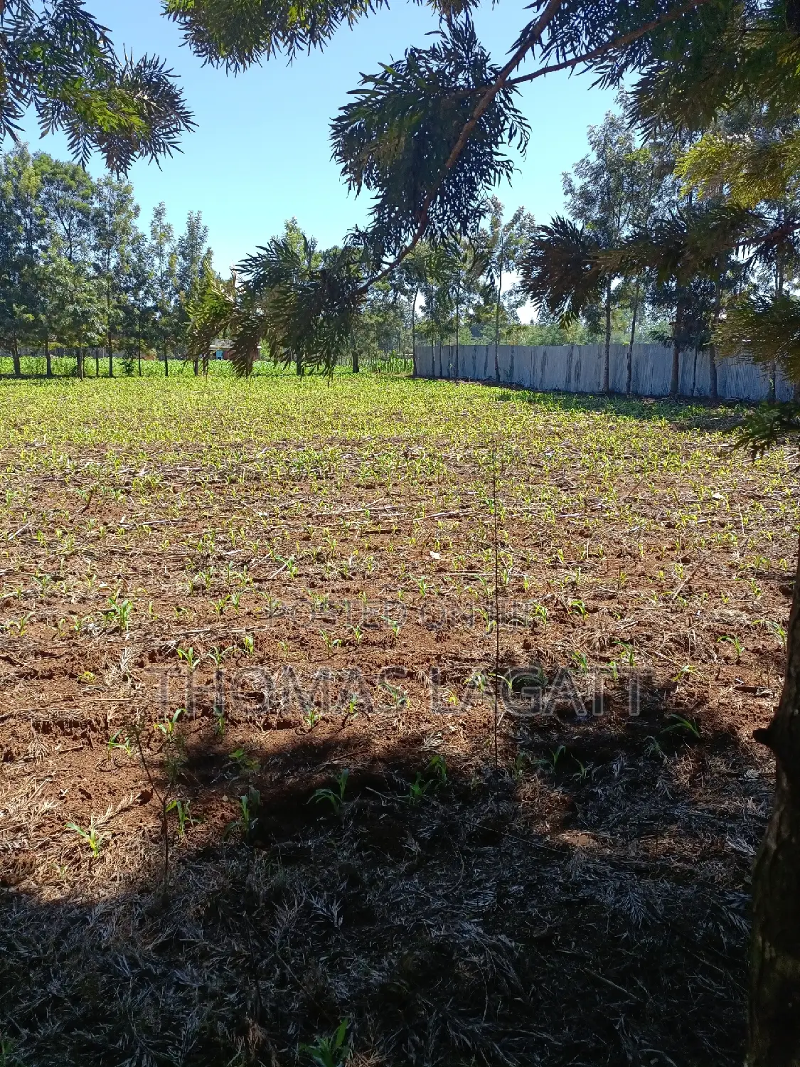 Prime 1⁄4 Acre Plots for Sale in Eldoret