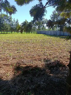 Prime 1⁄4 Acre Plots for Sale in Eldoret
