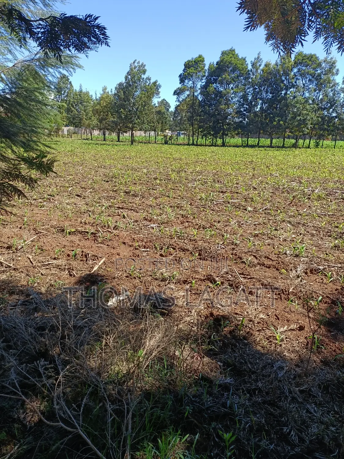 Prime 1⁄4 Acre Plots for Sale in Eldoret
