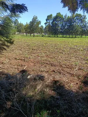 Prime 1⁄4 Acre Plots for Sale in Eldoret