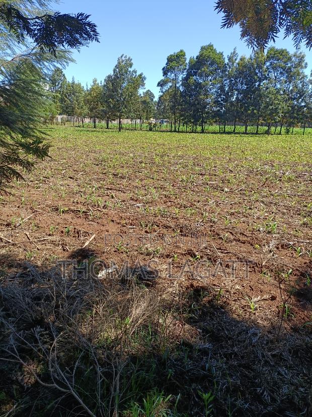Prime 1⁄4 Acre Plots for Sale in Eldoret