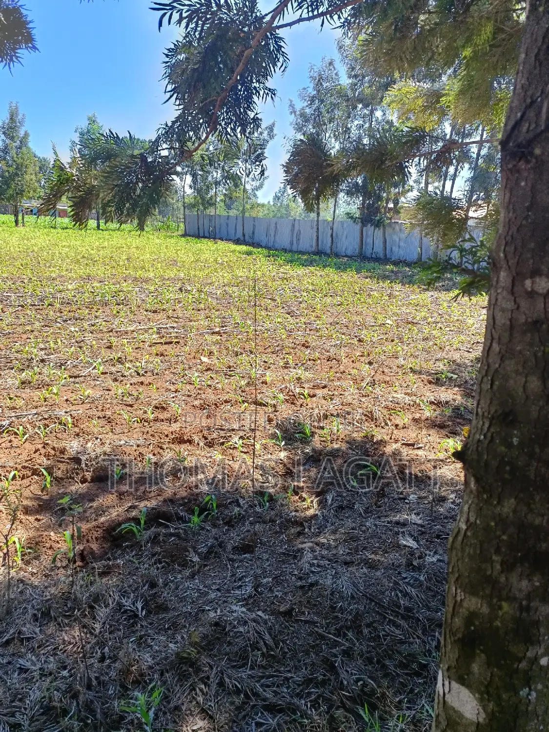 Prime 1⁄4 Acre Plots for Sale in Eldoret