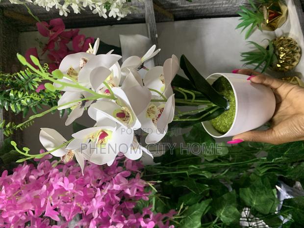 Decorative Orchid Flowers - thumbnail 2