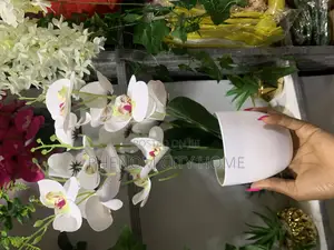Decorative Orchid Flowers Available