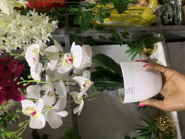 Decorative Orchid Flowers Available - thumbnail 2