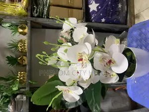 Decorative Orchid Flowers Available