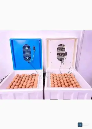 128eggs Automatic Incubator