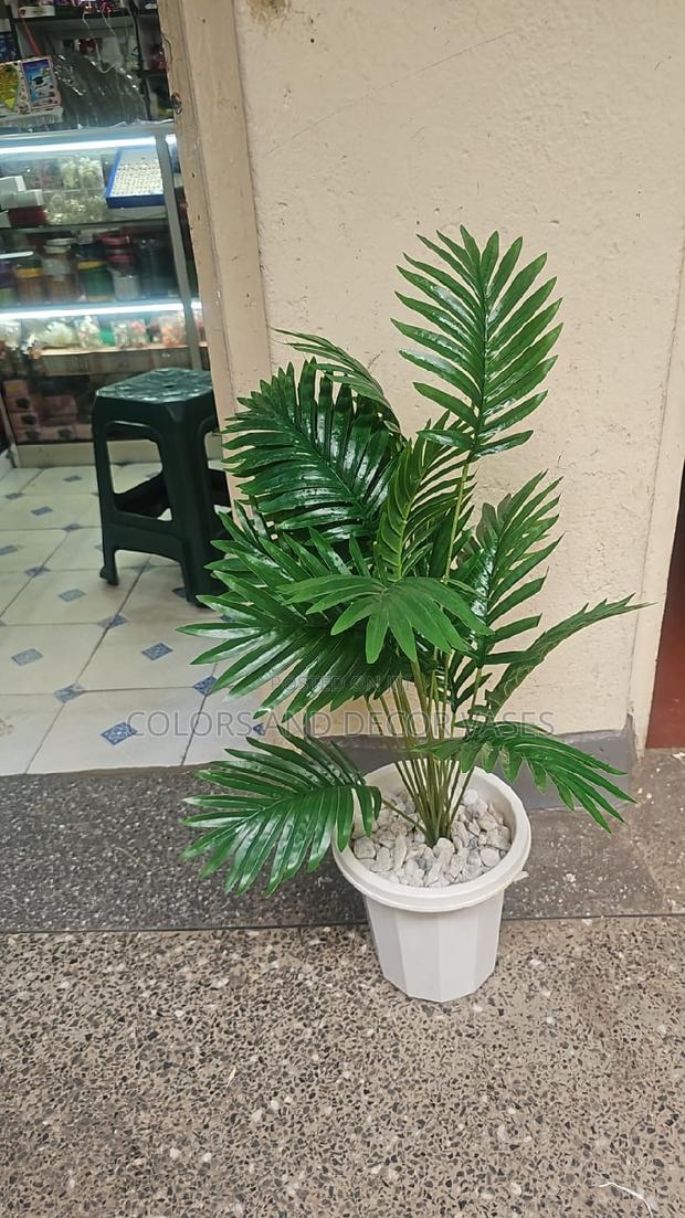 Palm Tree and Vase Plus Stones - main view