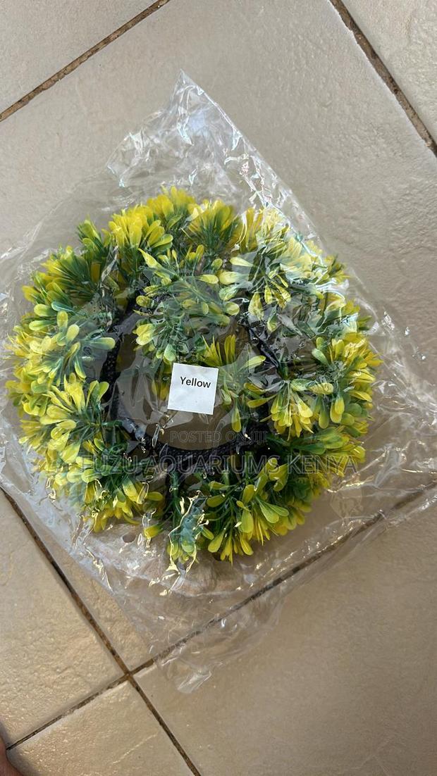 Aquarium Round Plant With Cave