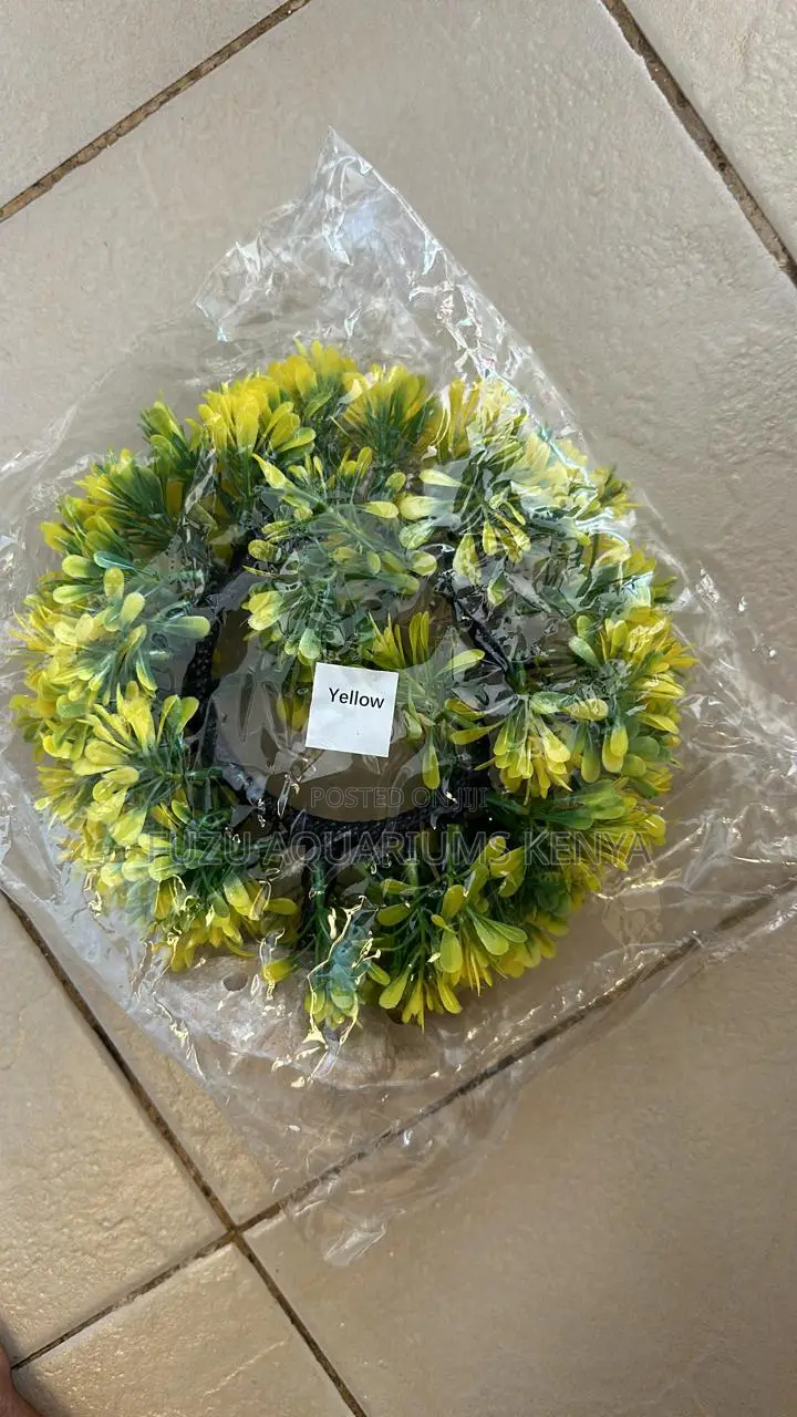Aquarium Round Plant With Cave
