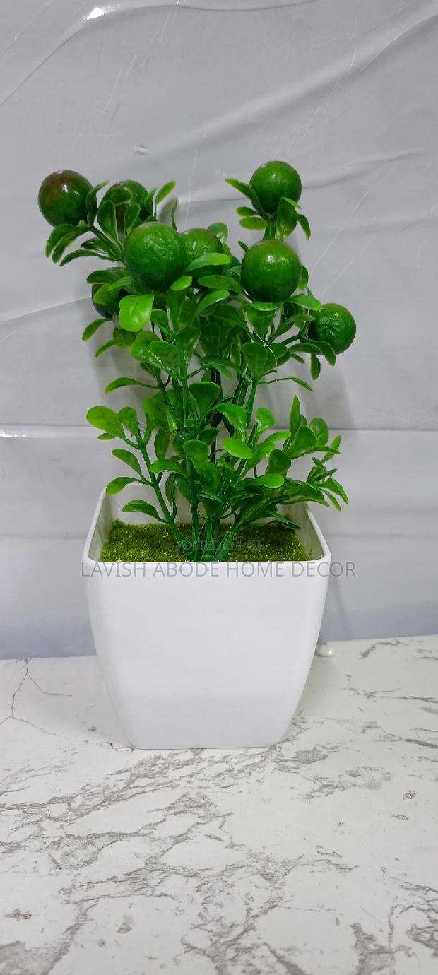 Potted Flowers - main view