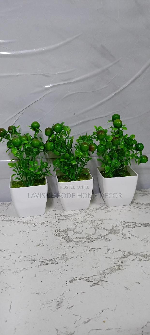 Potted Flowers - thumbnail 2