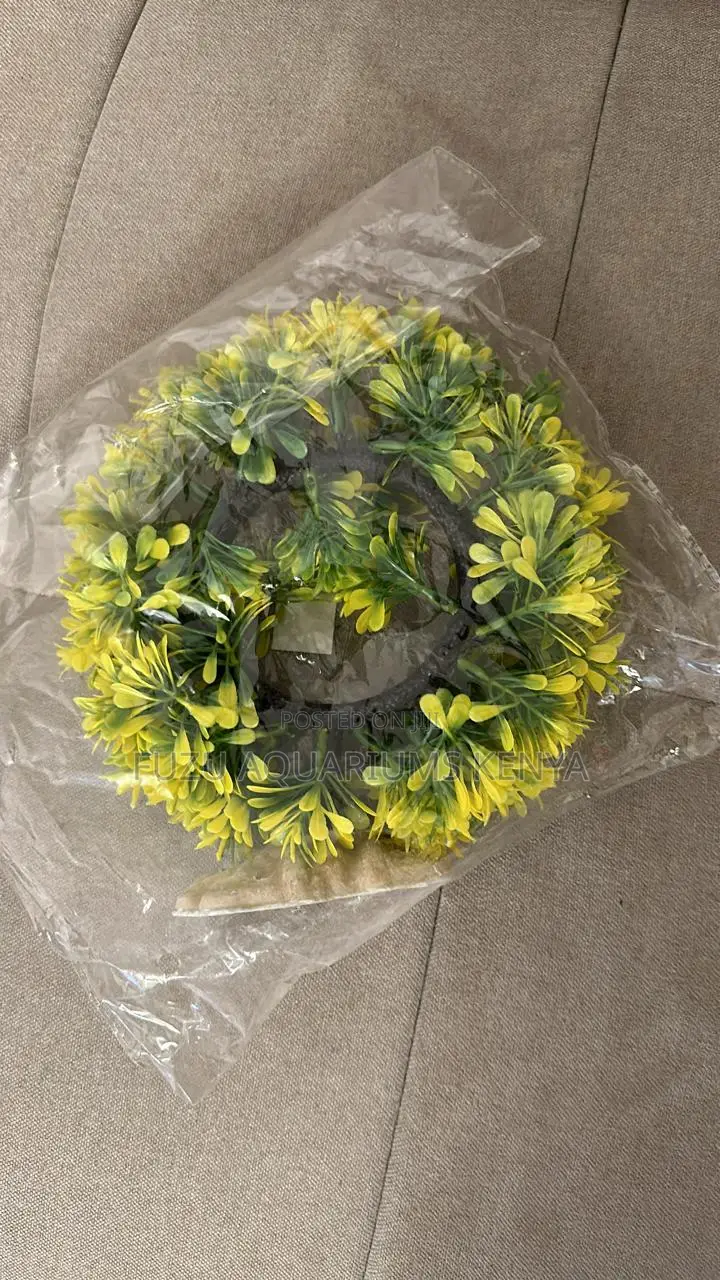 Hollow Aquarium Plants for Fish