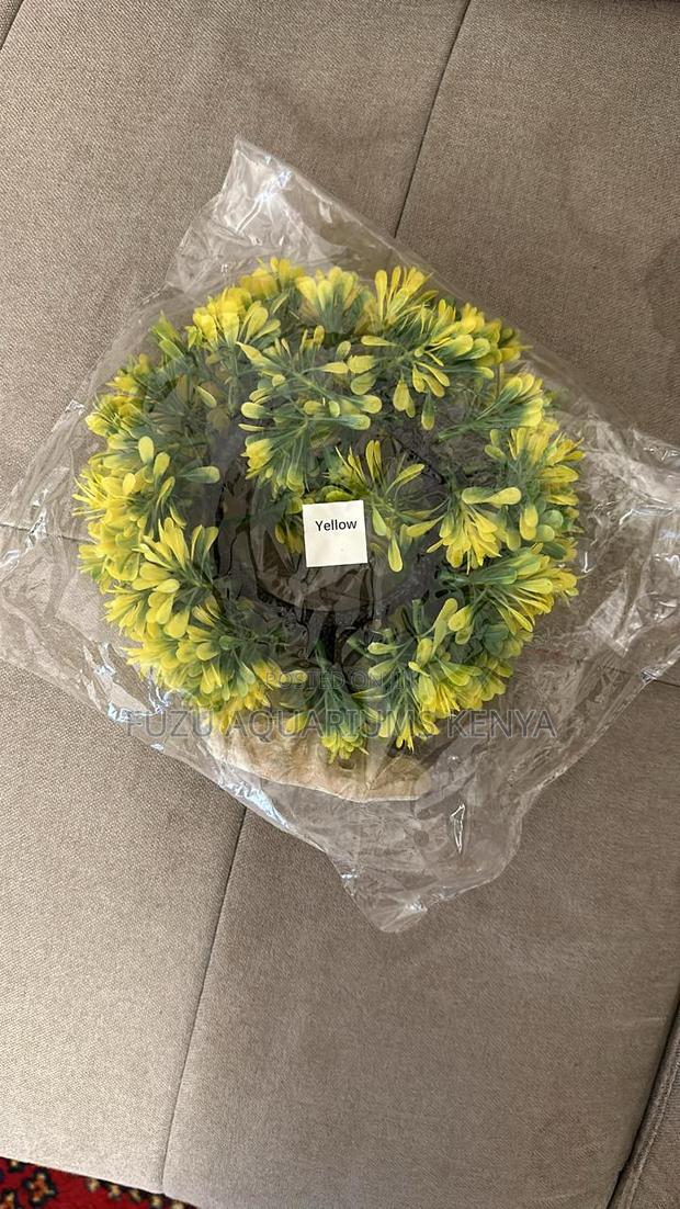 Classic Round Aquarium Plant
