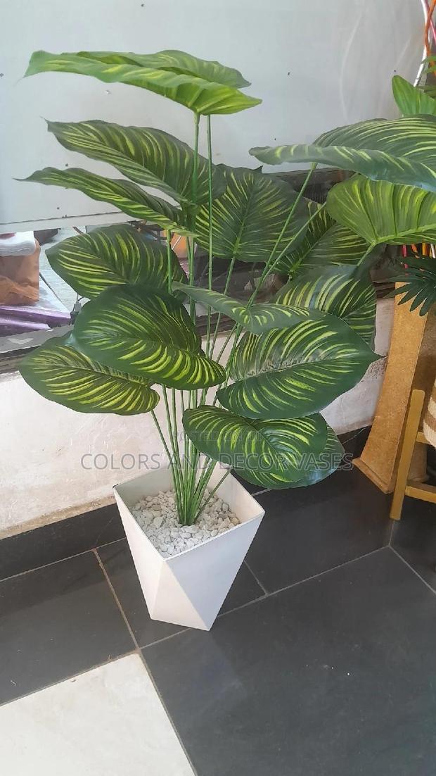 Stripped Plant and Vase Plus Decorative Stones