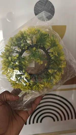 Round Aquarium Plant for Beauty